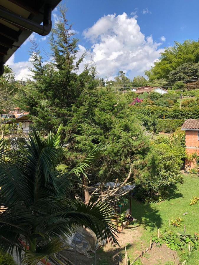 Zona Franca 4*