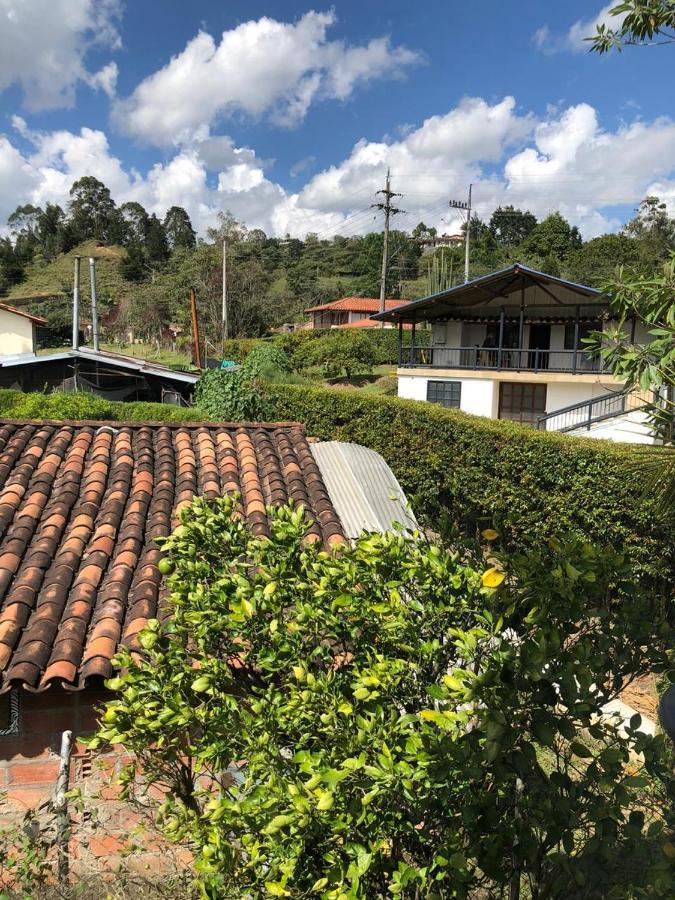 Zona Franca 4*